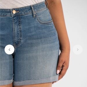 Kut from the Kloth Jane high rise short, size 18w